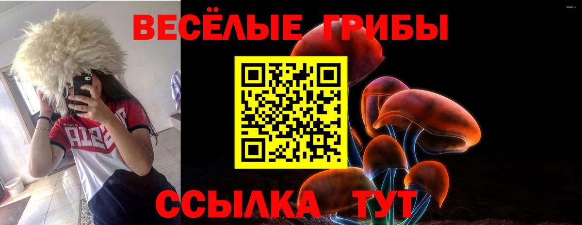 Галлюциногенные грибы MAGIC MUSHROOMS Лесосибирск